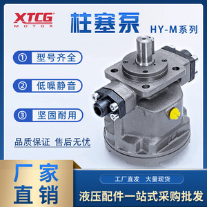Bomba de pistones axiales hidráulica Hy10m Rp Lp 350 bar de 1 etapa con eje vertical para sistemas hidráulicos - Product Image 3