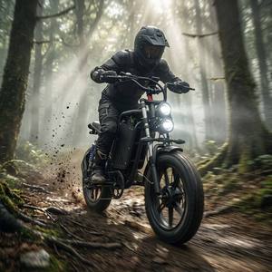 Motocicleta eléctrica todoterreno Light Bee <span class=keywords><strong>Surron</strong></span> <span class=keywords><strong>X</strong></span> 500W, 48V15AH, acero de alto carbono, neumático grueso 20*4, freno de disco mecánico, gran autonomía. - Product Image 1