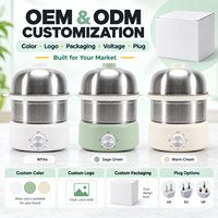 Cuiseur à œufs électrique multifonctionnel à usage domestique, double niveau, en acier inoxydable 304, avec minuterie, personnalisable OEM
