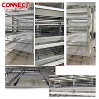 Projet de cage pour poulets de chair clé en main batterie coq équipement agricole système de cage pour poulets de chair cage pour poulets de chair