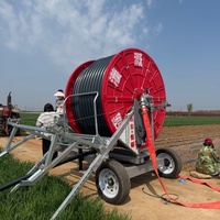 Máquina de Riego con Carrete de Manguera Serie JP con Pluma Articulada para Agricultura