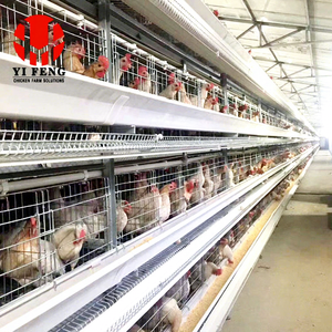 Lồng nuôi gà công nghiệp kiểu H hiệu suất cao, thiết kế mô-đun mở rộng được, dành cho gà đẻ trứng - Product Image 4