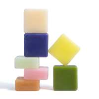 Barres de revitalisant solides pour le corps, shampoing bio et hydratant, 10 parfums