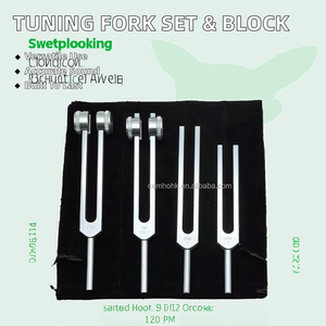 Juego de Diapasones de Aleación de Aluminio 256C con Bloque de Activación para Diagnóstico e Inyección, Suministro de Fábrica BPMETER - Product Image 2