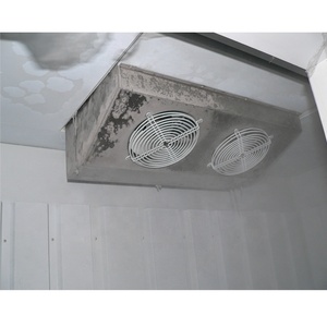 Machine à glace froide à 2 portes inclinées Station d'essence Bin <span class=keywords><strong>de</strong></span> stockage <span class=keywords><strong>de</strong></span> glace Portes inclinées Réfrigérateur à blocs <span class=keywords><strong>de</strong></span> glace - Product Image 5