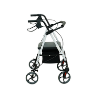 Appareils d'aide à la marche pour personnes âgées, chariots et chariots de courses vendus par l'usine, adaptés aux personnes âgées