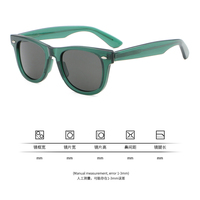 Lunettes de soleil rétro classiques 2025 avec logo OEM personnalisé, monture CP Tortoise, charnières, protection UV, verres teintés pour hommes et femmes
