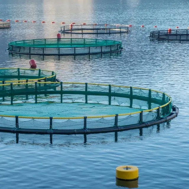 Hdpe aquaculture cage net floating fish cage net fish farming nets