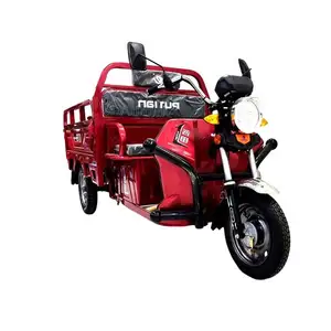 Good Selling 3 Wheel Motor Fat 60V Cargo Bike 10 People Open 750 Kg Electric Trike for The Passenger Adult