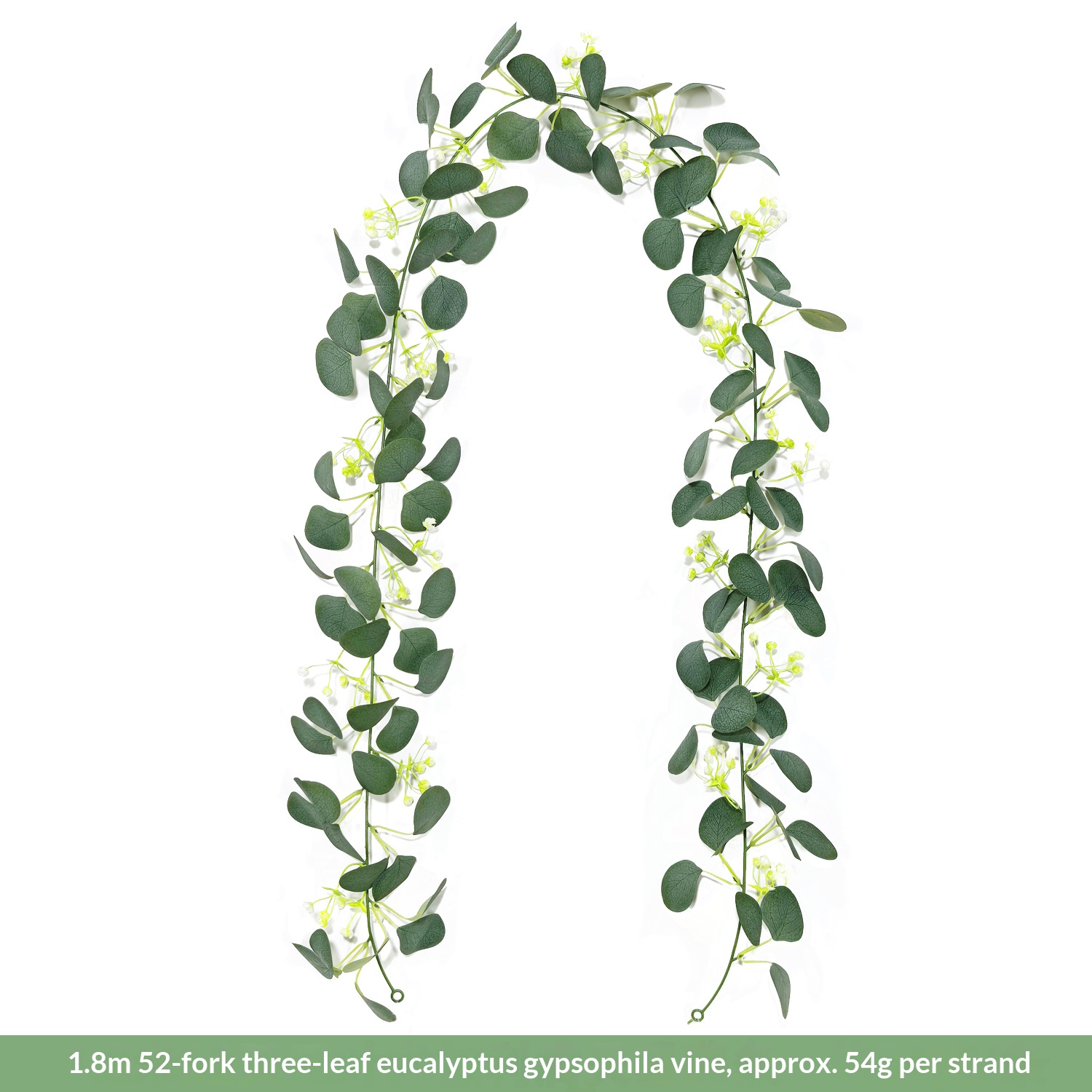 Vite di eucalipto a 52 forchette da 1,8 m