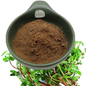 Tedarik doğal Purslane otlar Saponins Bacopa Monnieri yaprak ekstresi 50% <span class=keywords><strong>Portulaca</strong></span> <span class=keywords><strong>Oleracea</strong></span> özü 10 1 20 1 sıvı ve toz - Product Image 1