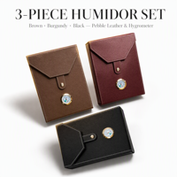 Humidor à cigares en cuir de style européen, mini, portable, avec hygromètre, cadeau pour homme, capacité de 8 à 10 cigares
