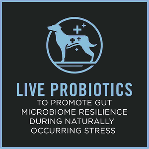 מזון כלבים קטנים נוסחת עוף ואורז מזון כלבים עם פרוביוטיקה מובטחת - Product Image 4