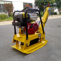 Compacteur de plaque réversible vibrant pour route de sol 160kg à vendre