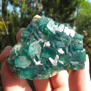 Bán buôn Chất lượng cao tự nhiên màu xanh đậm fluorite cụm thô thô Mẫu chữa bệnh đá tuyệt vời pha lê thủ công mỹ nghệ cho quà tặng - Product Image 4