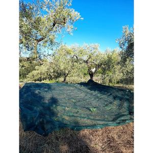 Red de recolección de aceitunas 'ANTISPINE' CARDINALE, lámina de 10x10 m con abertura - Product Image 5