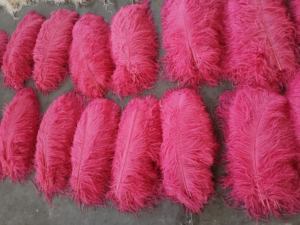 Eco-friendly di alta qualità promozionale del bambino <span class=keywords><strong>piume</strong></span> di struzzo crudo <span class=keywords><strong>in</strong></span> piuma colorati costumi di carnevale ali di <span class=keywords><strong>piume</strong></span> sexy - Product Image 4