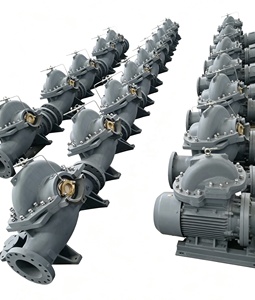 Bomba de Caja Dividida Horizontal de Alta Capacidad, Doble Succión, Confiabilidad, Sd100-310b, Peso Ligero - Product Image 6