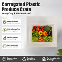 Boîte en plastique ondulé empilable écologique avec logo personnalisé pour l'emballage des légumes |   Caisse pliable durable avec design de ventilation