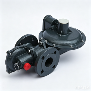 RTZ-25 (L) / 0.4FQ型ガス圧力調整器 LPG、ヘリウム、プロパン、アルゴン、天然ガス用 金属製 1年保証 - Product Image 5