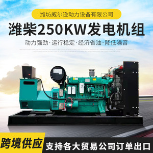 Générateur diesel Weichai 250 kW 400 V 50 Hz, groupe électrogène de secours industriel - Product Image 5