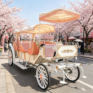 Carruaje Romántico Europeo para Turismo, Decoración Única para Parques Temáticos, Reuniones Festivas, Proyecto para Atraer Visitantes - Product Image 1