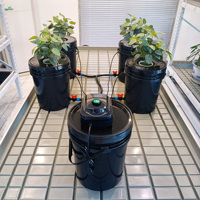 Système de culture intérieur complet avec tentes de culture intelligentes automatiques, irrigation goutte à goutte, ventilation, filtre, ventilateur et structure en acier.