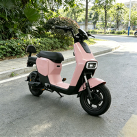 Bicicleta Eléctrica Urbana M12 48V 350W, Neumático de Vacío de 14 Pulgadas, 2 Asientos, Bicicleta Eléctrica para Adultos