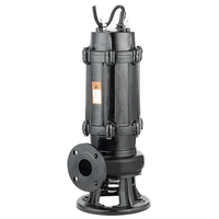 Pompe à eau électrique Submersible, vente directe d'usine, série WQ sans colmatage