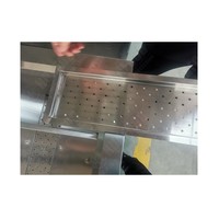 Groente-En Fruitwasmachine Met Automatische Sortering