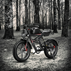 Bicicleta Eléctrica de 48v 2000w para Adultos, Modelo V8 V20, Disponible en EE. UU., con Cuadro de Acero y Batería de Litio - Product Image 6