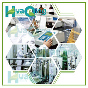 HUAQING OEM Private Label Quercetin 1000mg kapsul Ultra kekuatan Quercetin suplemen bioanamel untuk dukungan imun sehat - Product Image 6