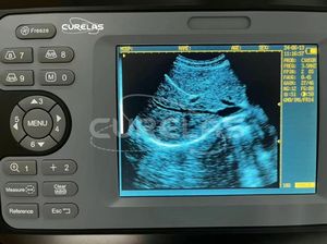 Escáner de ultrasonido veterinario con sonda rectal-IP67 a prueba de agua para uso en granjas de ganado - Product Image 4