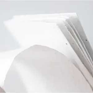 Marcapáginas de Papel Semi BOOKMARKSEED, Gadgets Ecológicos - Product Image 2