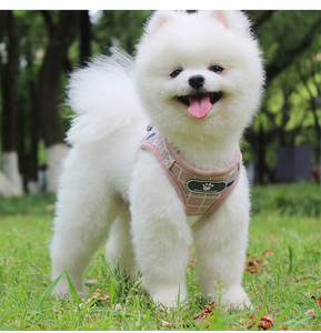 Stripe <strong>Pink</strong> Cute Small <strong>Dog</strong> <strong>Harness</strong> and Leash Mesh Comfortable New Arrive - Product Image 2
