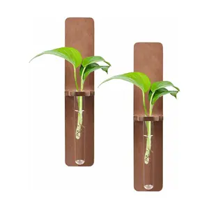 Tube de Station de Propagation de Plantes avec Support en Bois Vase Décoratif Mural Hydroponique Plante Suspendue Terrarium Jardinière en Verre - Product Image 1
