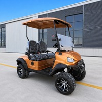 Fabricant professionnel de voiturettes de golf électriques à 4 roues, chariots de réception pour parcs d'attractions, chariots utilitaires électriques et buggys de plage