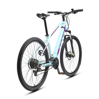 Vélo de montagne électrique TXED de haute qualité, 29 pouces, moteur arrière 250W, batterie lithium 10.4AH, longue portée 50 km