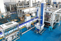 Machine automatique de remplissage et de fabrication de bouteilles en plastique pour eau potable, petite taille, prix promotionnel Afrique