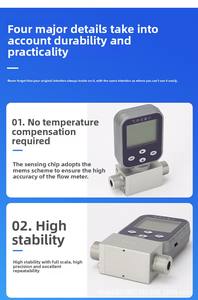 工業用マイクロフローメーター塩化メチレンアルゴン熱ガスマスマニュアル調整バルブフローメーター製品カテゴリ - Product Image 5