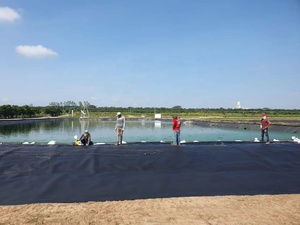 Membrane de piscine en géomembrane HDPE arc-en-ciel pour bassin, usage aquacole (poissons, crevettes, esturgeons), épaisseur 0,20 mm-2,0 mm - Product Image 4