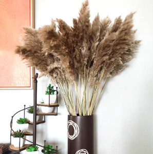 Herbe de la Pampa G24 haute <span class=keywords><strong>et</strong></span> volumineuse, en boîte carton, marron, séchée, pour décoration de mariage, style bohème, <span class=keywords><strong>bouquet</strong></span> de <span class=keywords><strong>fleurs</strong></span> naturelles - Product Image 3