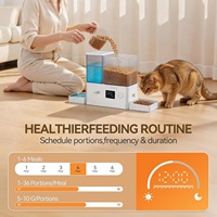 Dispensador automático de comida y agua 2 en 1 AFP con temporizador, tazón de acero inoxidable, juego de dispensador de comida y fuente de agua para perros y gatos