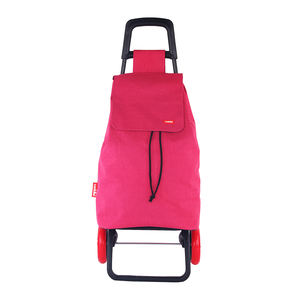 Nieuw Ontwerp Winkelmand Kar Trolley Voor Usa Markt Met Vier Wielen - Product Image 4