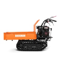 Mini Dumper sur chenilles à moteur essence 6,5 ch, capacité de charge utile de 300 kg, avec certification TUV CE