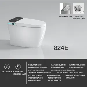 Bidet automatico elettronico Spray Hotel sanitari bagno Wc in ceramica Wc autopulente Smart Toilet intelligent