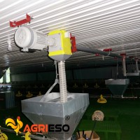 Système automatique d'alimentation et d'abreuvement pour volailles avec moteur italien Transtecno pour élevages de poulets de chair, pondeuses et reproducteurs
