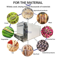 Déshydrateur Commercial en Acier Inoxydable pour Viande (Porc, Prunes), Aliments pour Animaux (Chats, Chiens), et Pieds de Poulet - Prix et Offres Commerciales