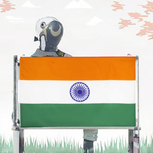 Vente directe d'usine 2024, Aisa Display ASD305, drapeau à manche en bois à agiter à la main, graphiques imprimés numériquement pour les fêtes générales - Product Image 2