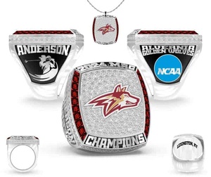 แหวนแชมป์มหาวิทยาลัย Sidan 2026 อัลลอยด์แพลตตินั่ม/โรสโกลด์ สำหรับกีฬารักบี้ บาสเกตบอล ฟุตบอล เบสบอล ฮอกกี้น้ำแข็ง ปรับแต่งได้ - Product Image 3